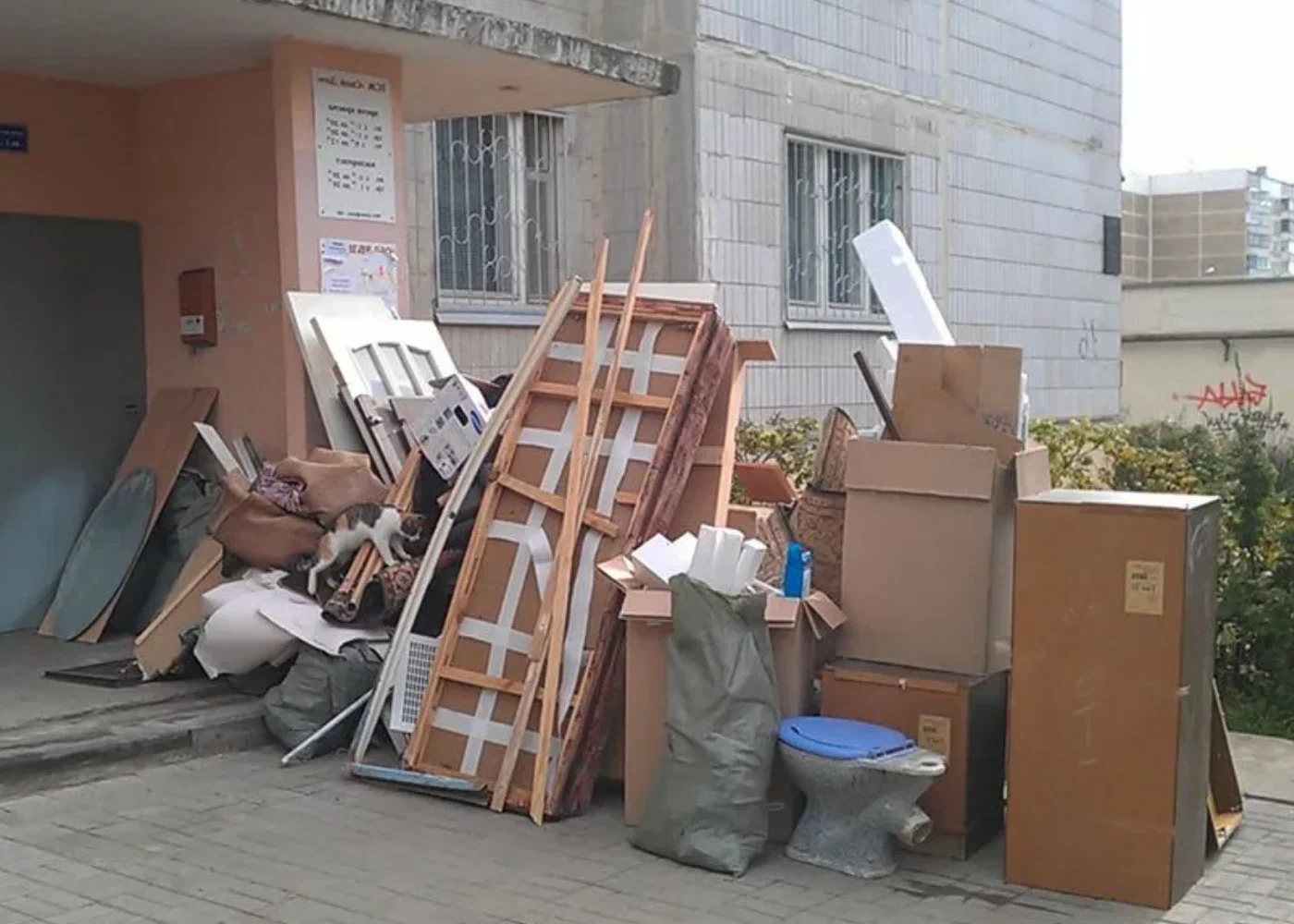 Профессиональный вывоз мусора из квартиры в Оренбурге в октябре