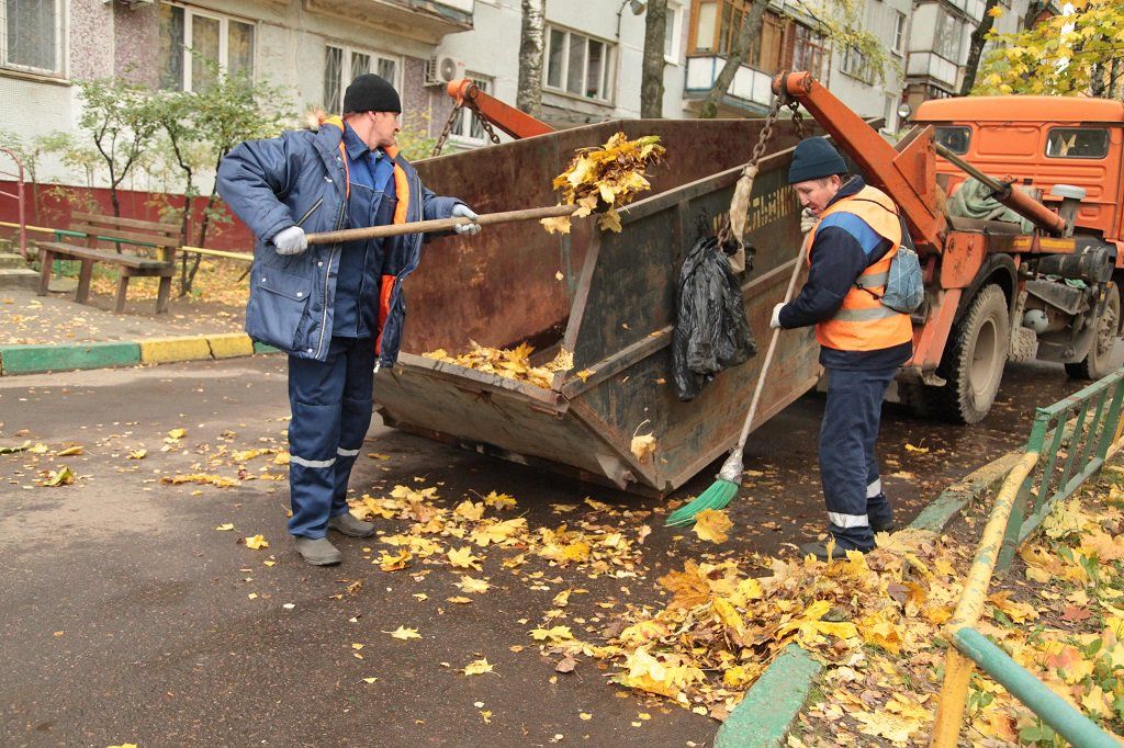 Вывоз опавшей листвы и растительного мусора в Оренбурге от ПроМусор – цена от 4576 руб., быстрая уборка и утилизация